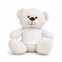 Teddy bear with a T-shirt for printing BERI