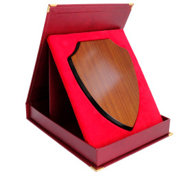 Case SAMETI for plaque shield 561 vertical maroon