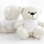 Teddy bear with a T-shirt for printing BERI